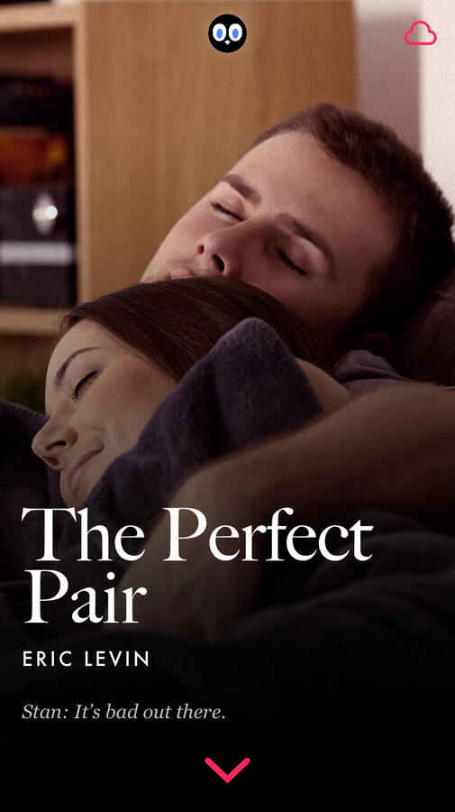 The Perfect Pair The Perfect Pair