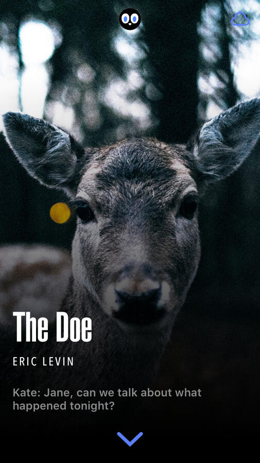 The Doe The Doe