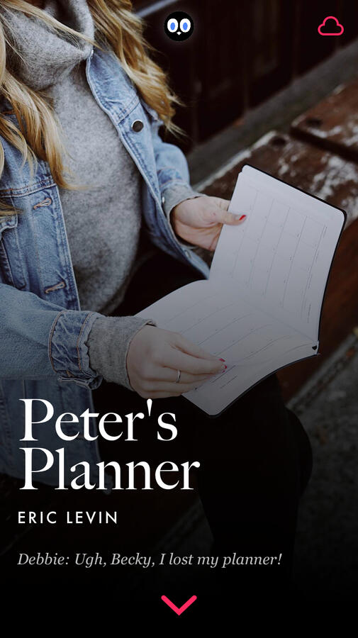 Peter's Planner Peter's Planner
